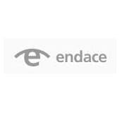 Endace's Logo