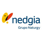 NEDGIA's Logo