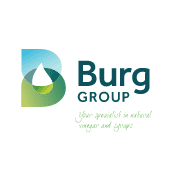 Burg Group's Logo