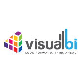 Visual BI Solutions's Logo