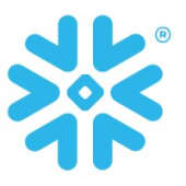 Snowflake's Logo