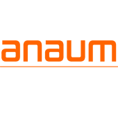 Anaum International Electronics's Logo