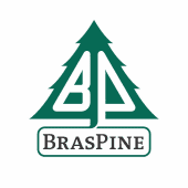 BrasPine & Braslumber's Logo