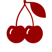 Cherrydata's Logo