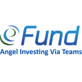 E-Fund's Logo