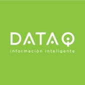 Data IQ's Logo