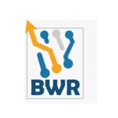 Blue White Robotics's Logo