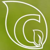 Green System Solutions's Logo