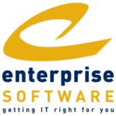 Enterprise Software Systems's Logo