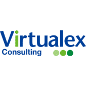 Virtualex Consulting's Logo