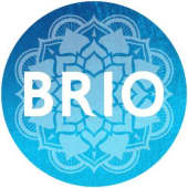 Briotech's Logo