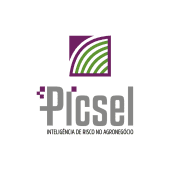 Picsel's Logo