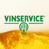 Vin Service's Logo