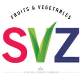 SVZ International's Logo