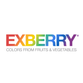 EXBERRY's Logo