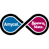 Amycel's Logo