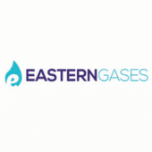 Eastern Gases's Logo