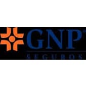 Grupo Nacional Provincial's Logo