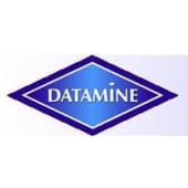 Datamine's Logo