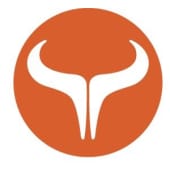 Golden Bull's Logo