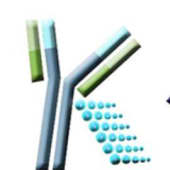 KYinno's Logo