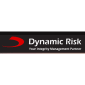 Dynamic Risk's Logo