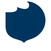 BLUE Marine Foundation's Logo