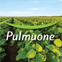 Pulmuone Foods USA, Inc.'s Logo