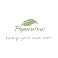 Pigmentum Ltd.'s Logo