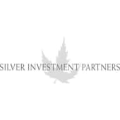 Silver Investment Partners's Logo