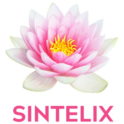 SINTELIX PTY LTD's Logo