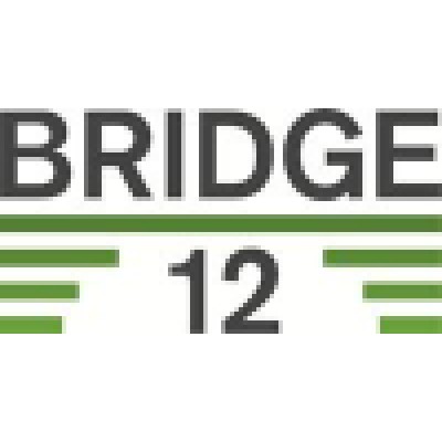 Bridge 12 Technologies, Inc. Logo