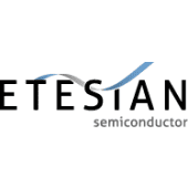 ETesiAN Semiconductor's Logo