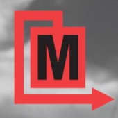 Metalogic Inspection Services's Logo