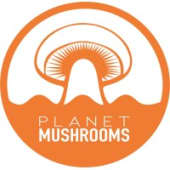 Planet Mushroom's Logo