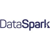 DataSpark's Logo