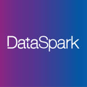 DataSpark's Logo