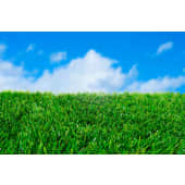 Perth Artificial Grass Service's Logo