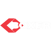 Boxer Systems's Logo