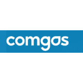 Top 100 Natural Gas Companies in Brazil (2026) | ensun
