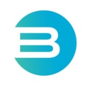 Bjork Group's Logo