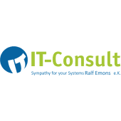 IT-Consult's Logo