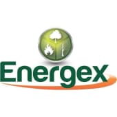 Energex's Logo