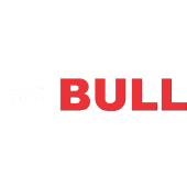 Bull Machines's Logo