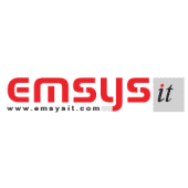 Emsys IT's Logo