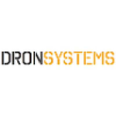 DronSystems's Logo