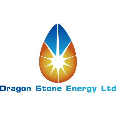 Dragon Stone Energy Ltd's Logo