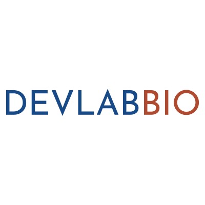 Devlab LLC's Logo