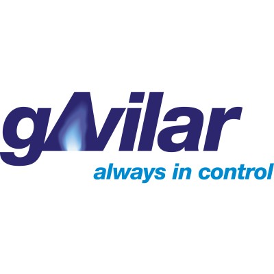 gAvilar B.V.'s Logo