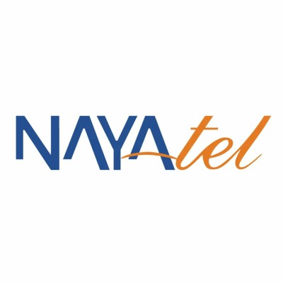 Nayatel's Logo